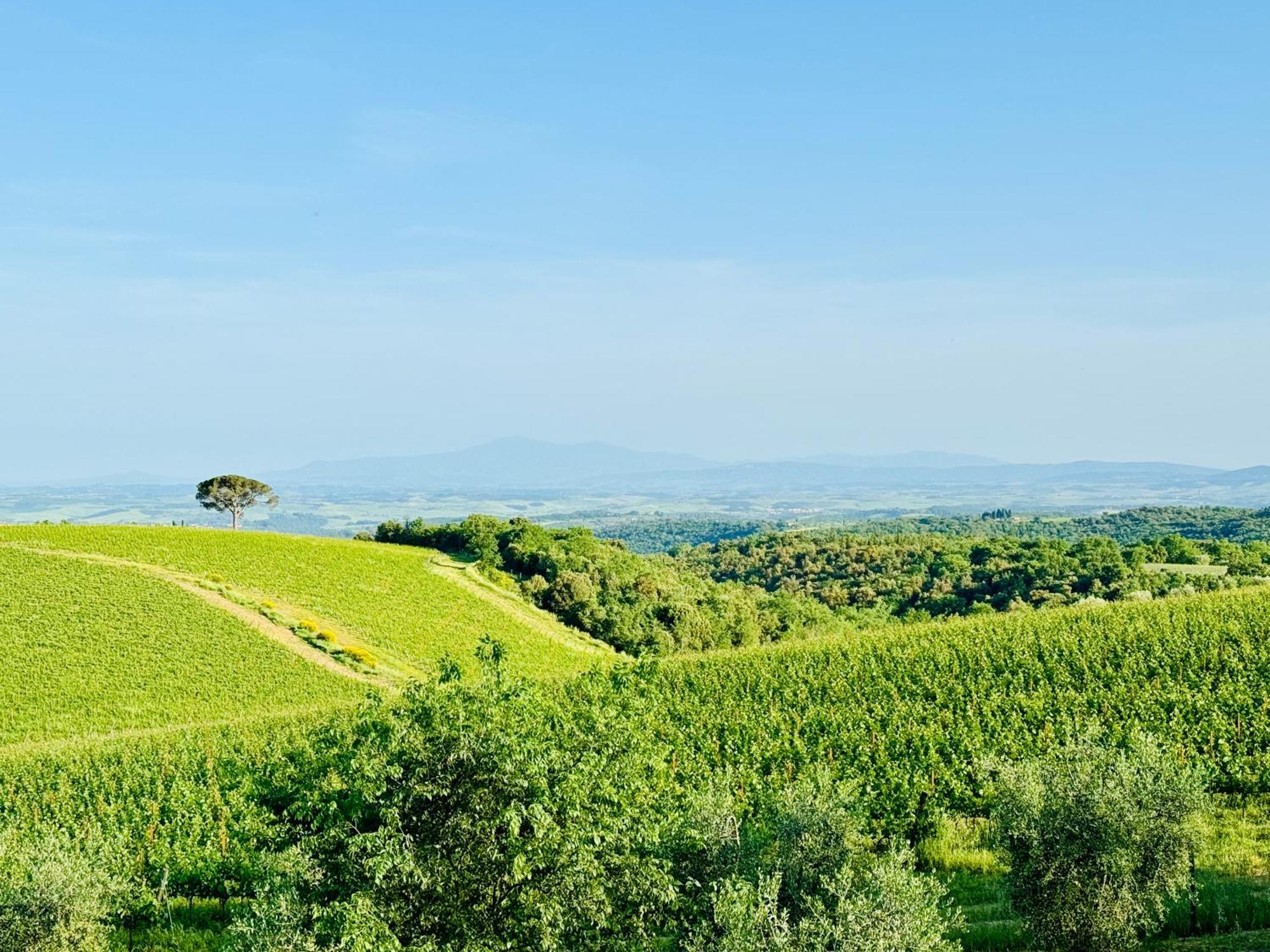 Libertas Tuscan Hideaway San Sano Zewnętrze zdjęcie
