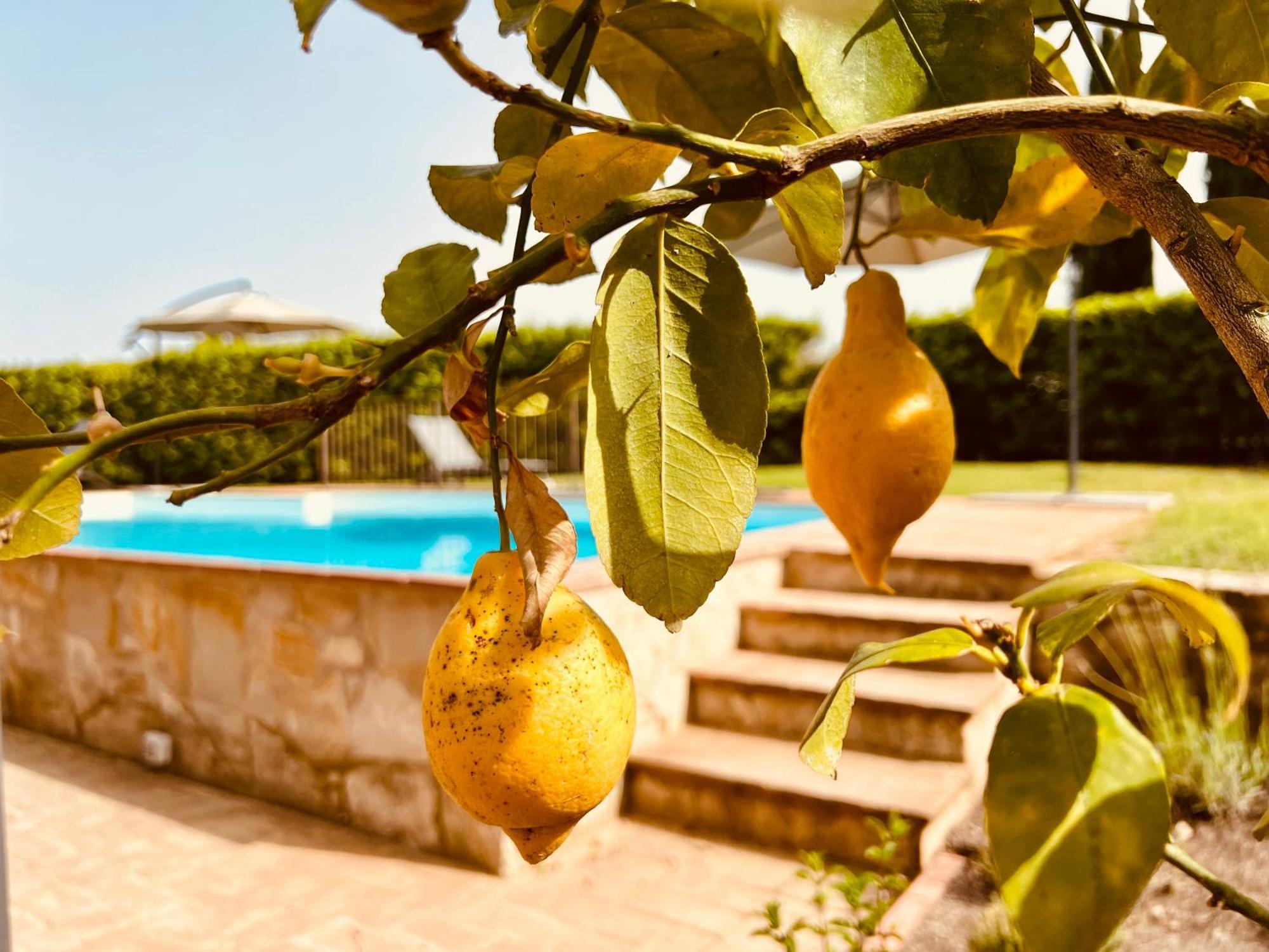 Libertas Tuscan Hideaway San Sano Zewnętrze zdjęcie